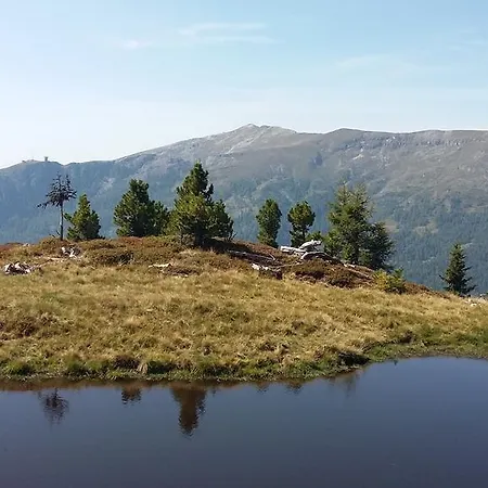 Haus Pfarrkirchner Appartement *