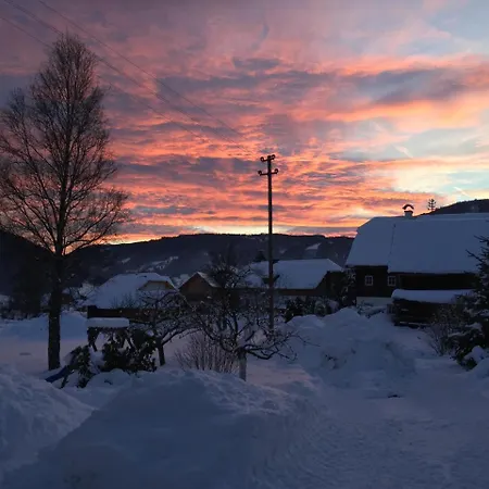 Haus Pfarrkirchner Appartement Mauterndorf (Salzburg)